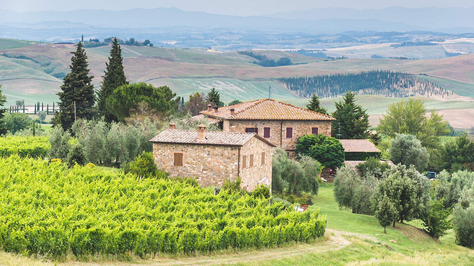 La Rasina Brunello di Montalcino